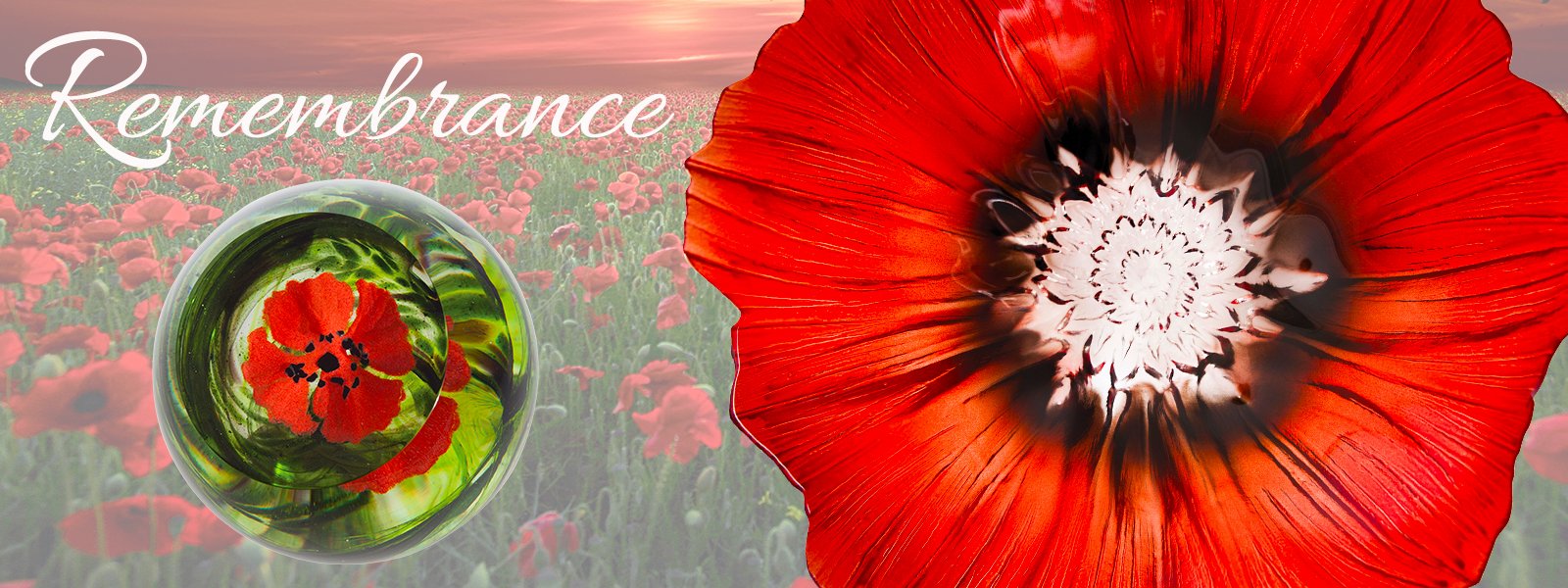 Remembrance poppy 