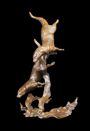 Richard Cooper Otters Playing