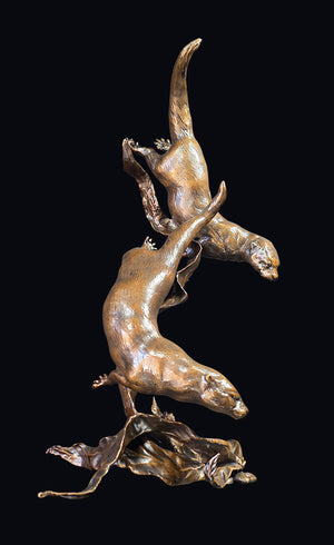 Richard Cooper Otters Playing