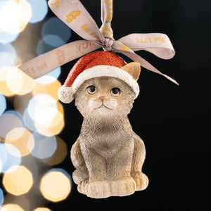 Aynsley Christmas Kitten Hanging Ornament-Goviers