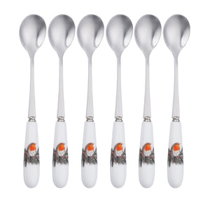 Aysnley Robin Teaspoons Set of 6-Goviers
