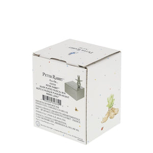 Beatrix Potter Peter Rabbit Peter Rabbit Silver Plated Musical Box-Goviers
