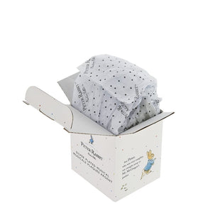 Beatrix Potter Peter Rabbit Peter Rabbit Silver Plated Musical Box-Goviers