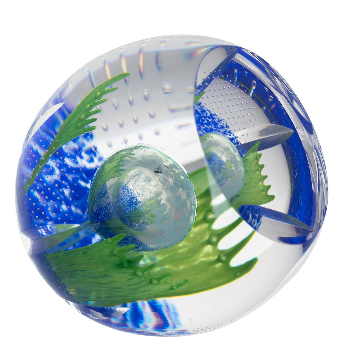 Caithness Azure Blossom- Hot House Collection 2025-Goviers