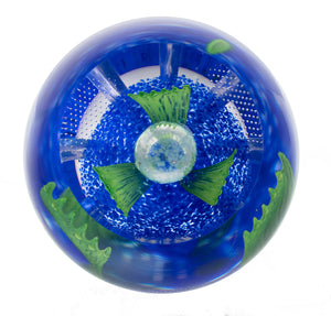 Caithness Azure Blossom- Hot House Collection 2025-Goviers