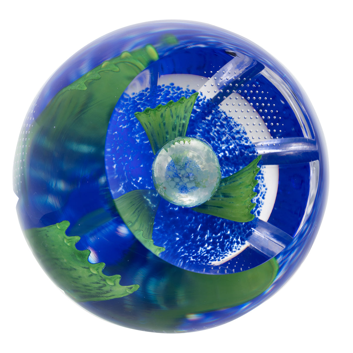 Caithness Azure Blossom- Hot House Collection 2025-Goviers