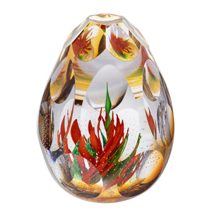 Caithness Elemental Glow- Hot House Collection 2025-Goviers