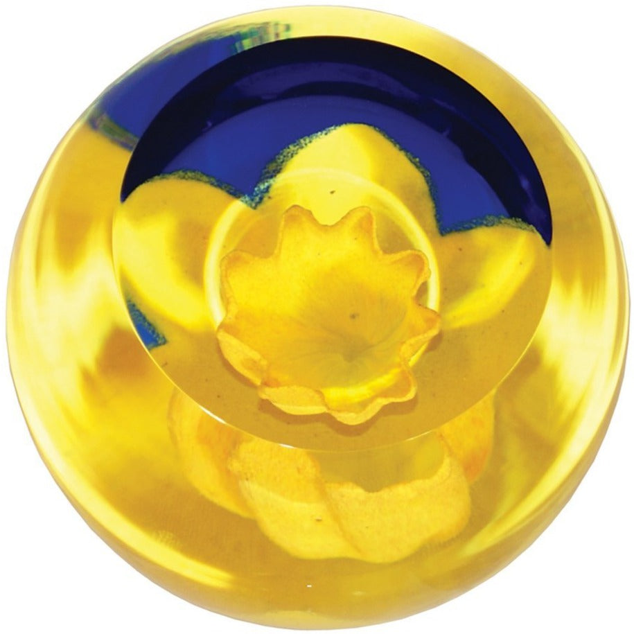 Caithness - Floral Charms - Daffodil-Paperweights-Goviers
