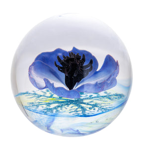 Caithness Galilee Blue-Goviers