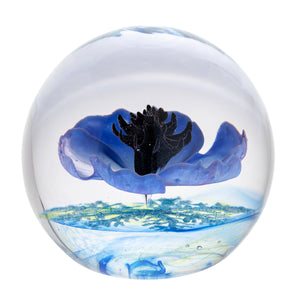 Caithness Galilee Blue-Goviers