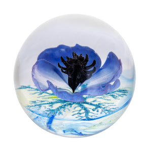 Caithness Galilee Blue-Goviers