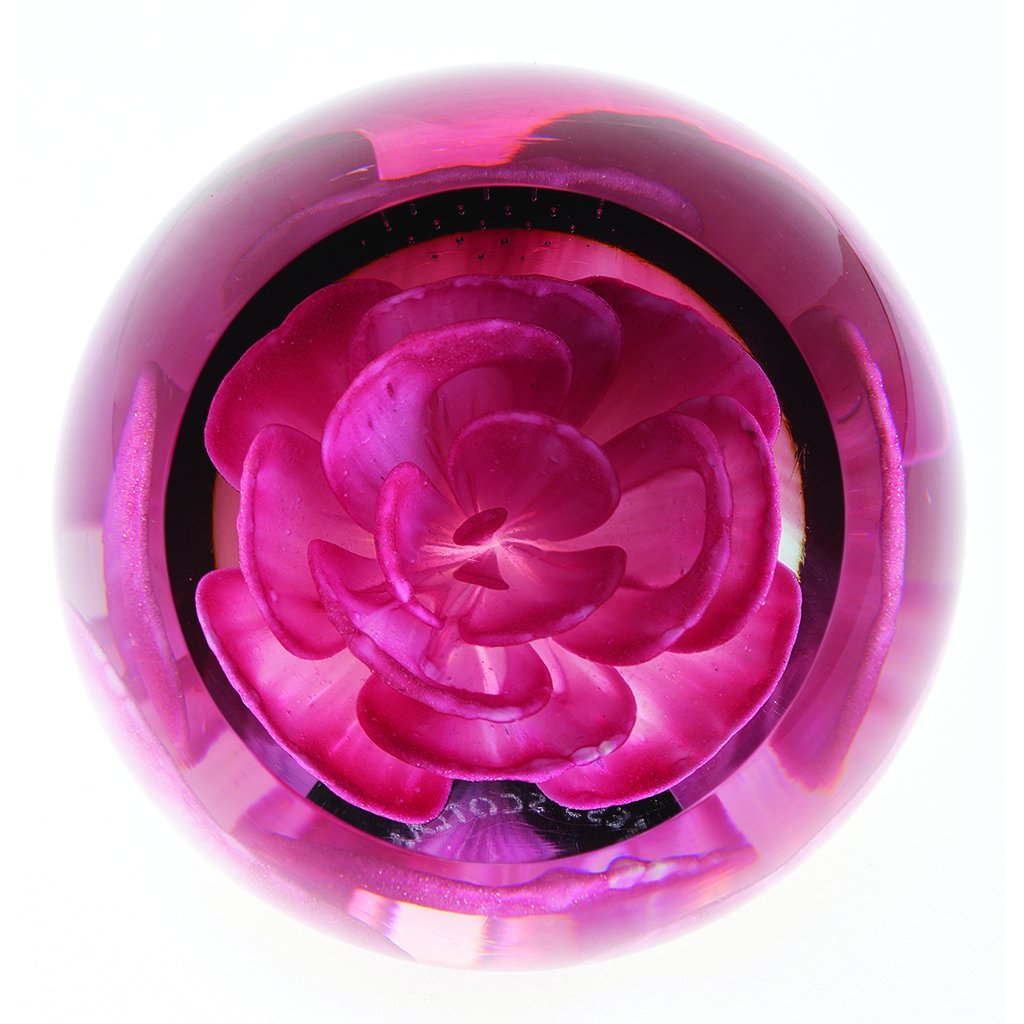 Caithness Glass Floral Charms Carnation Paperweight-Paperweights-Goviers