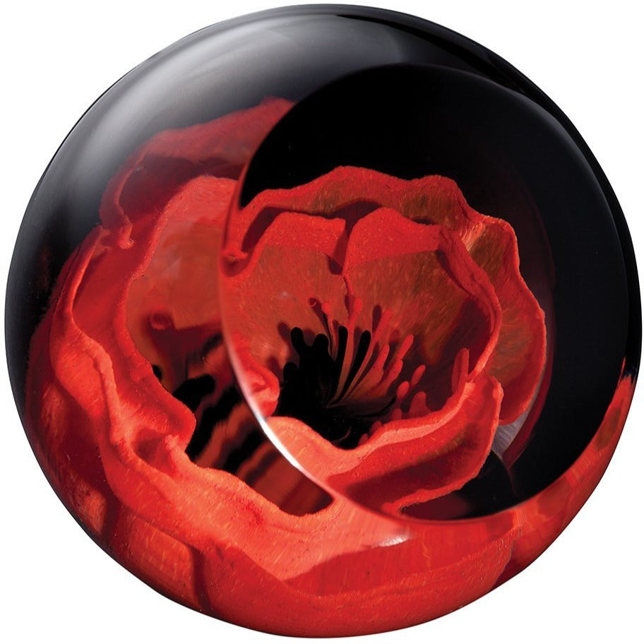 Caithness Glass Remembrance Poppy Paperweight-Paperweights-Goviers