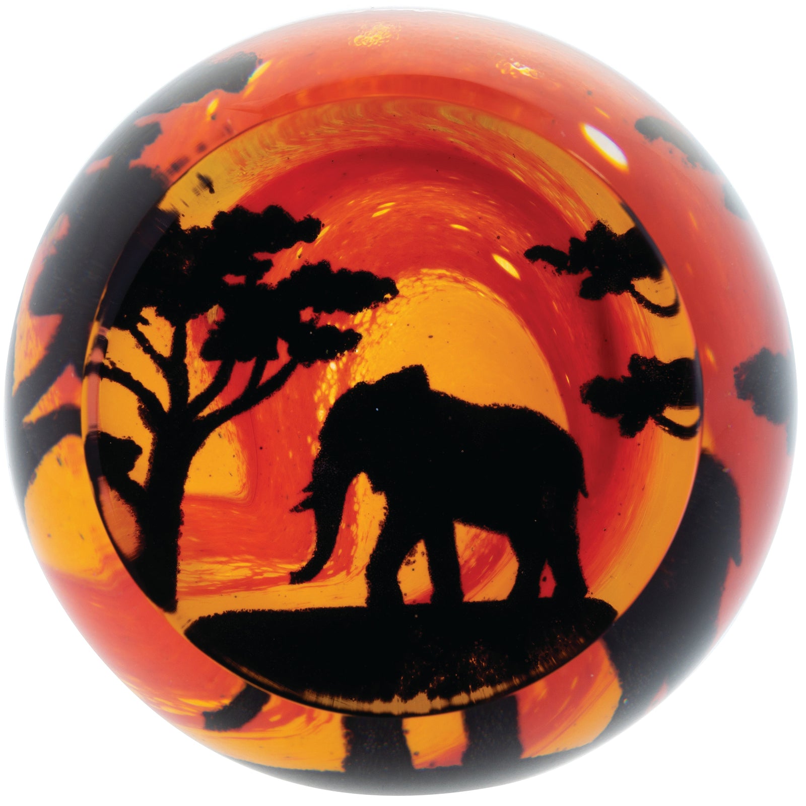 Caithness On Safari - Elephant-Goviers