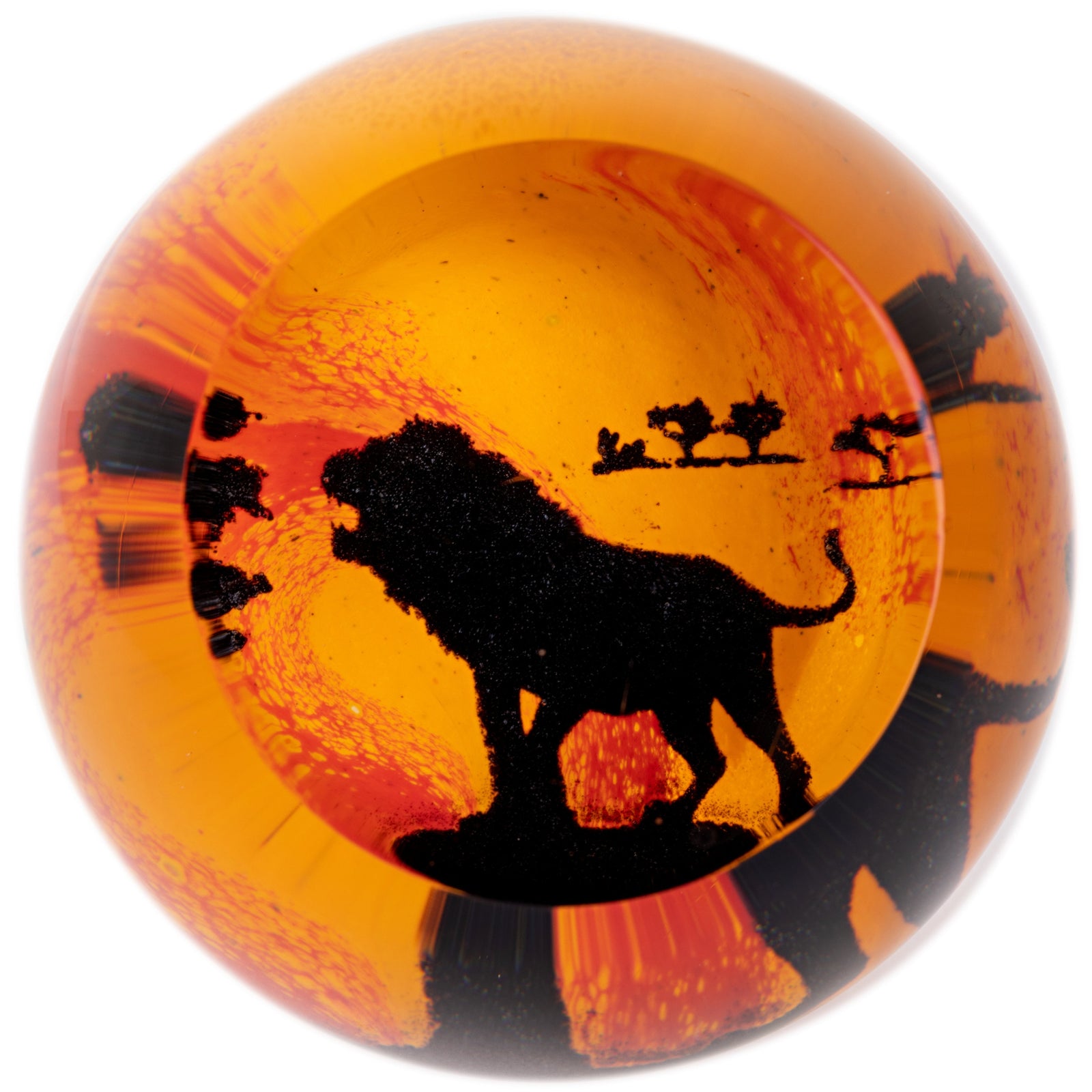 Caithness On Safari - Lion-Goviers