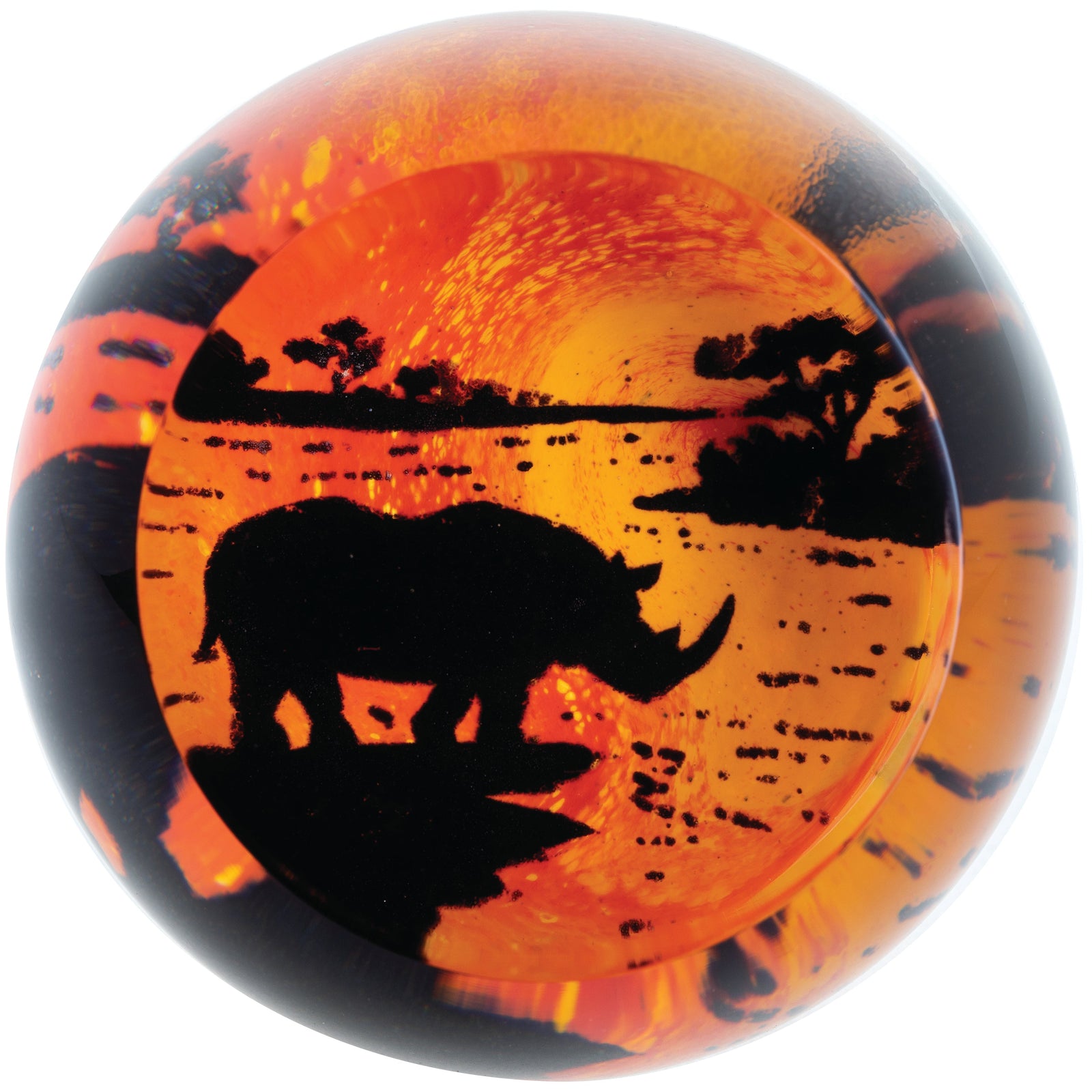 Caithness On Safari - Rhino-Goviers