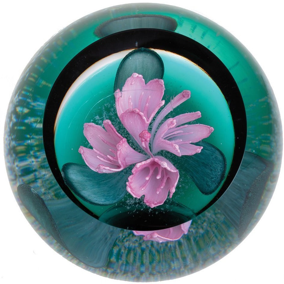 Caithness Rhododendron Ferrugineum-Paperweights-Goviers
