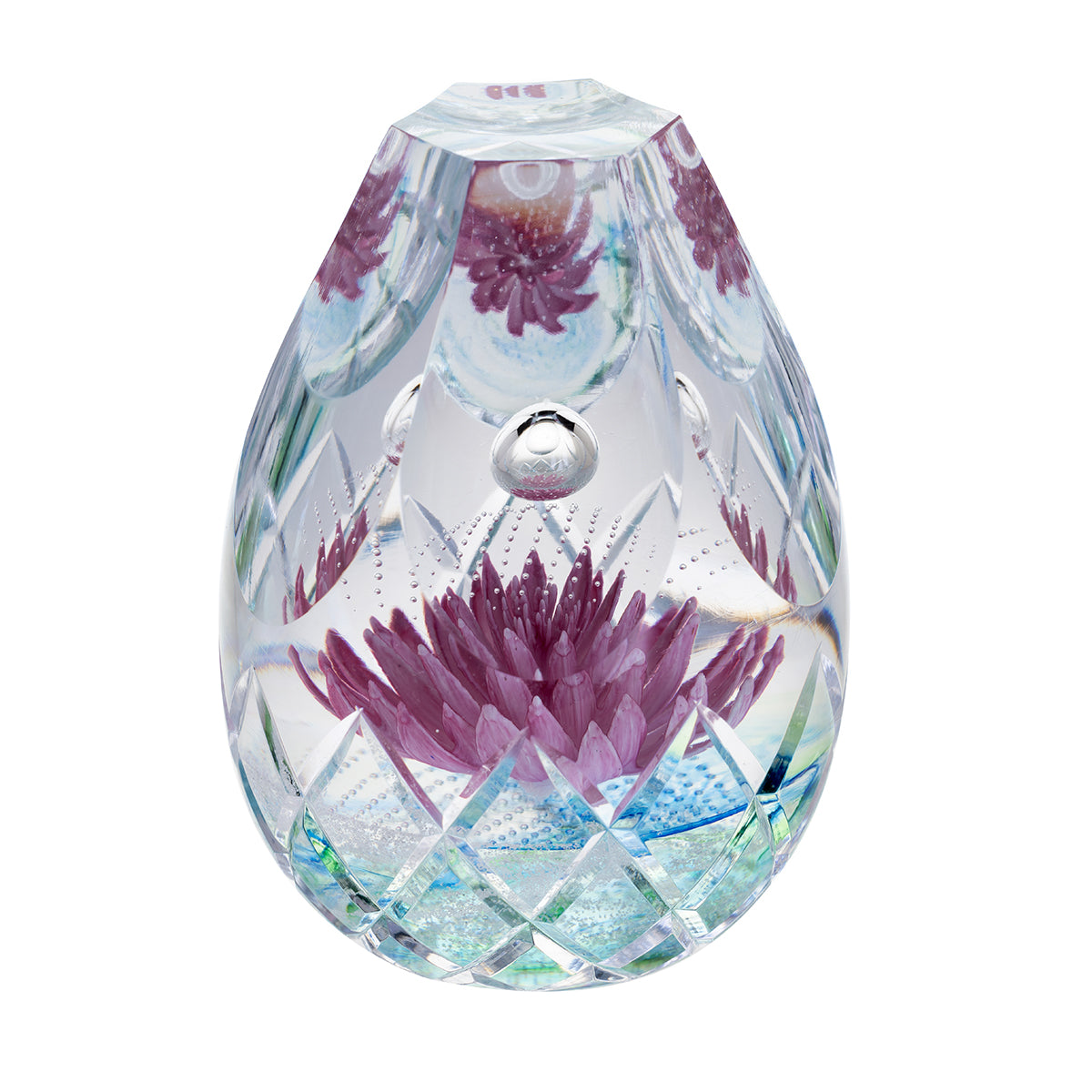 Caithness Rosey Bloom- Hot House Collection 2025-Goviers