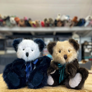 Canterbury Bears Coco-Goviers