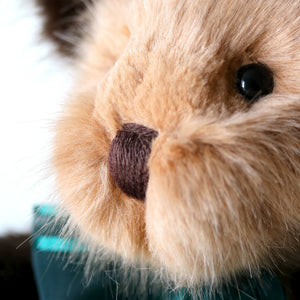 Canterbury Bears Coco-Goviers