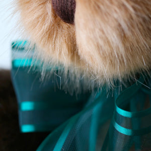 Canterbury Bears Coco-Goviers