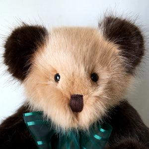 Canterbury Bears Coco-Goviers