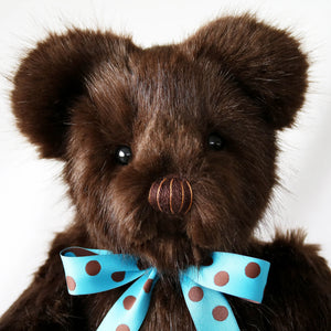 Canterbury Bears George-Goviers