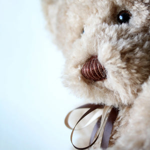 Canterbury Bears Rafferty-Goviers