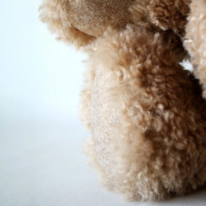 Canterbury Bears Rafferty-Goviers