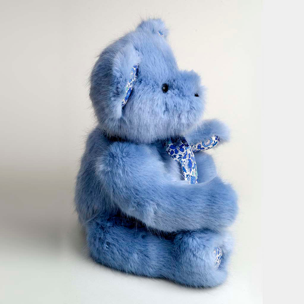 Canterbury Bears Sky-Goviers