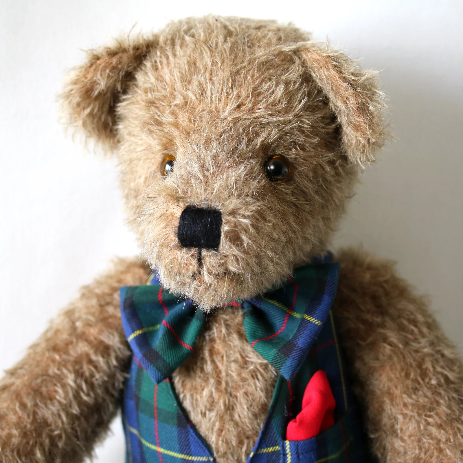 Canterbury Bears Uncle Herman-Goviers