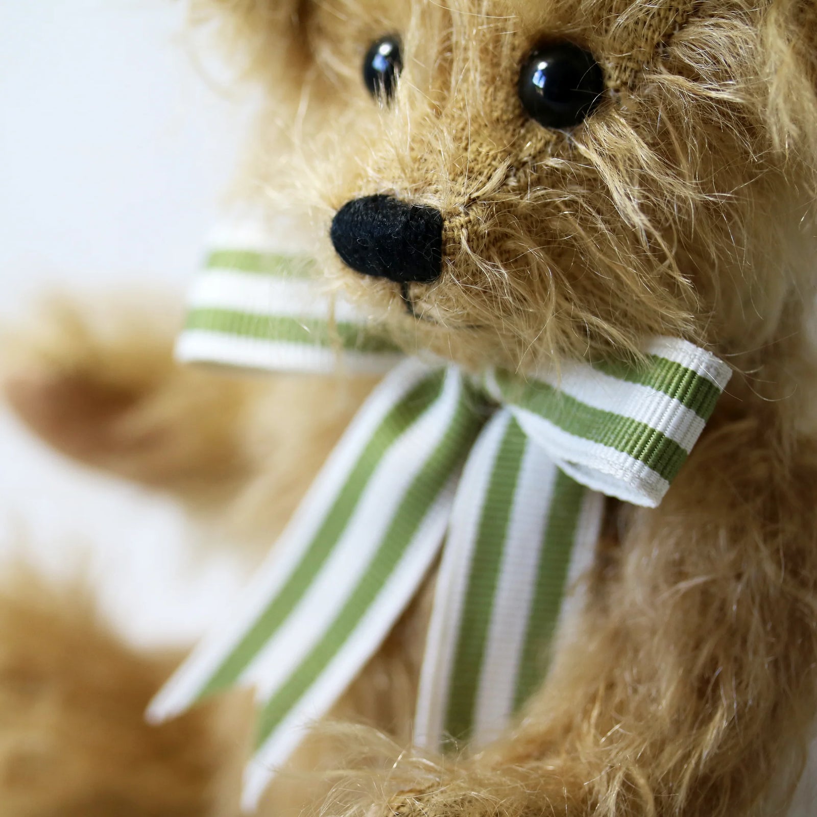 Canterbury Bears Wilfred-Goviers