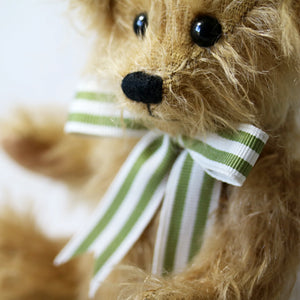 Canterbury Bears Wilfred-Goviers