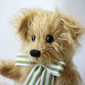 Canterbury Bears Wilfred-Goviers