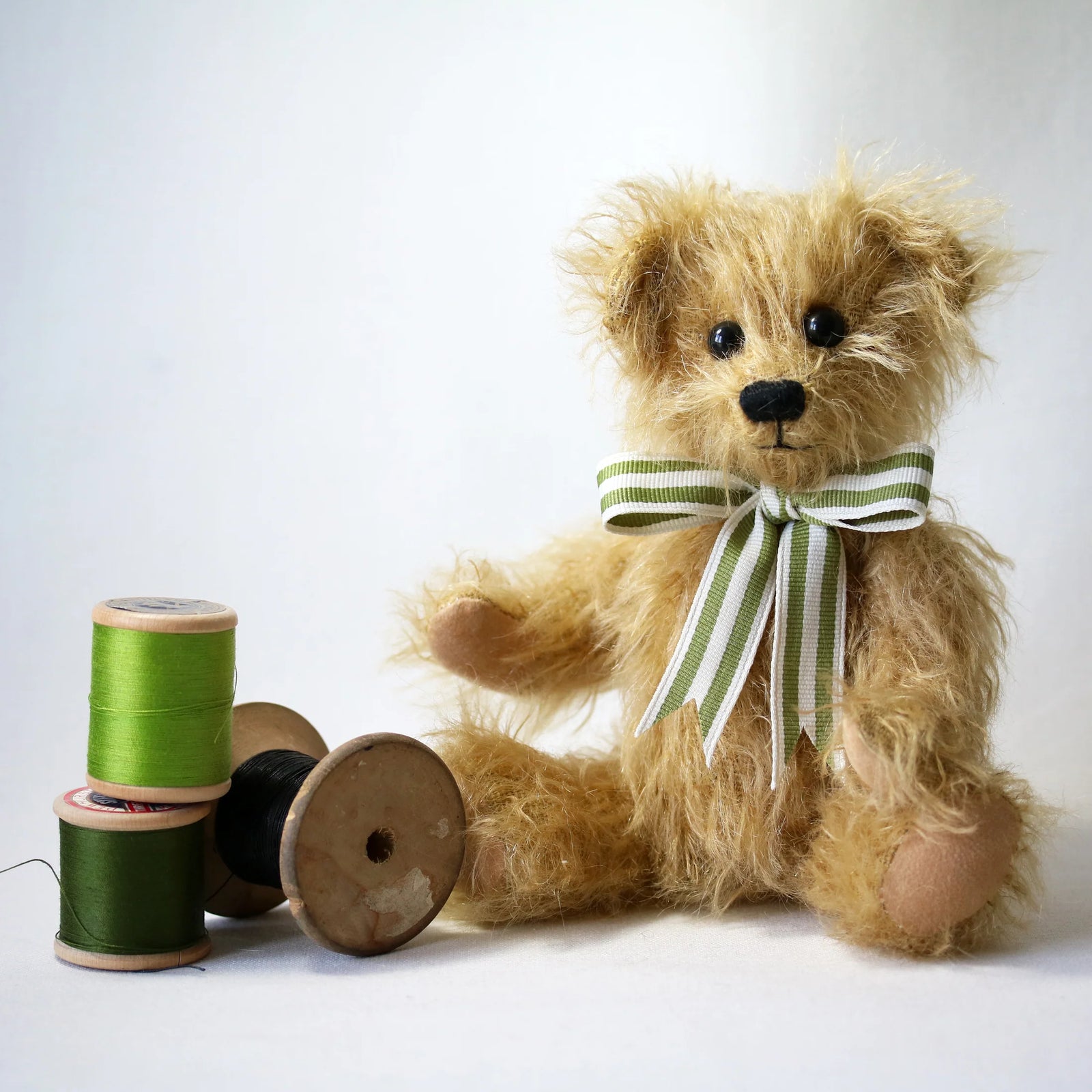 Canterbury Bears Wilfred-Goviers