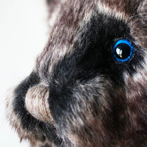 Canterbury Bears Wolfie-Goviers