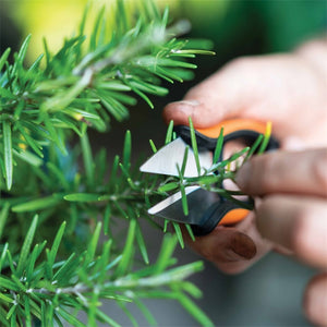 Fiskars Solid Herb Snip-Gardening-Goviers