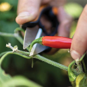 Fiskars Solid Herb Snip-Gardening-Goviers