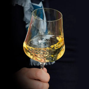 Gabriel Glas StandArt Universal Wine Glass-Goviers