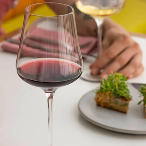 Gabriel Glas StandArt Universal Wine Glass Set of 6 - IN STOCK-Goviers