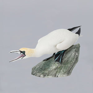 Irish Dresden Gannet-Goviers