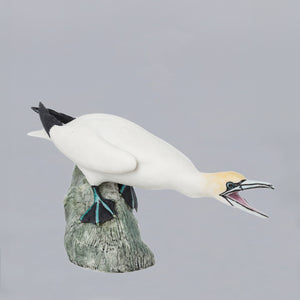 Irish Dresden Gannet-Goviers