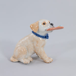 Irish Dresden Rexie Labrador-Goviers