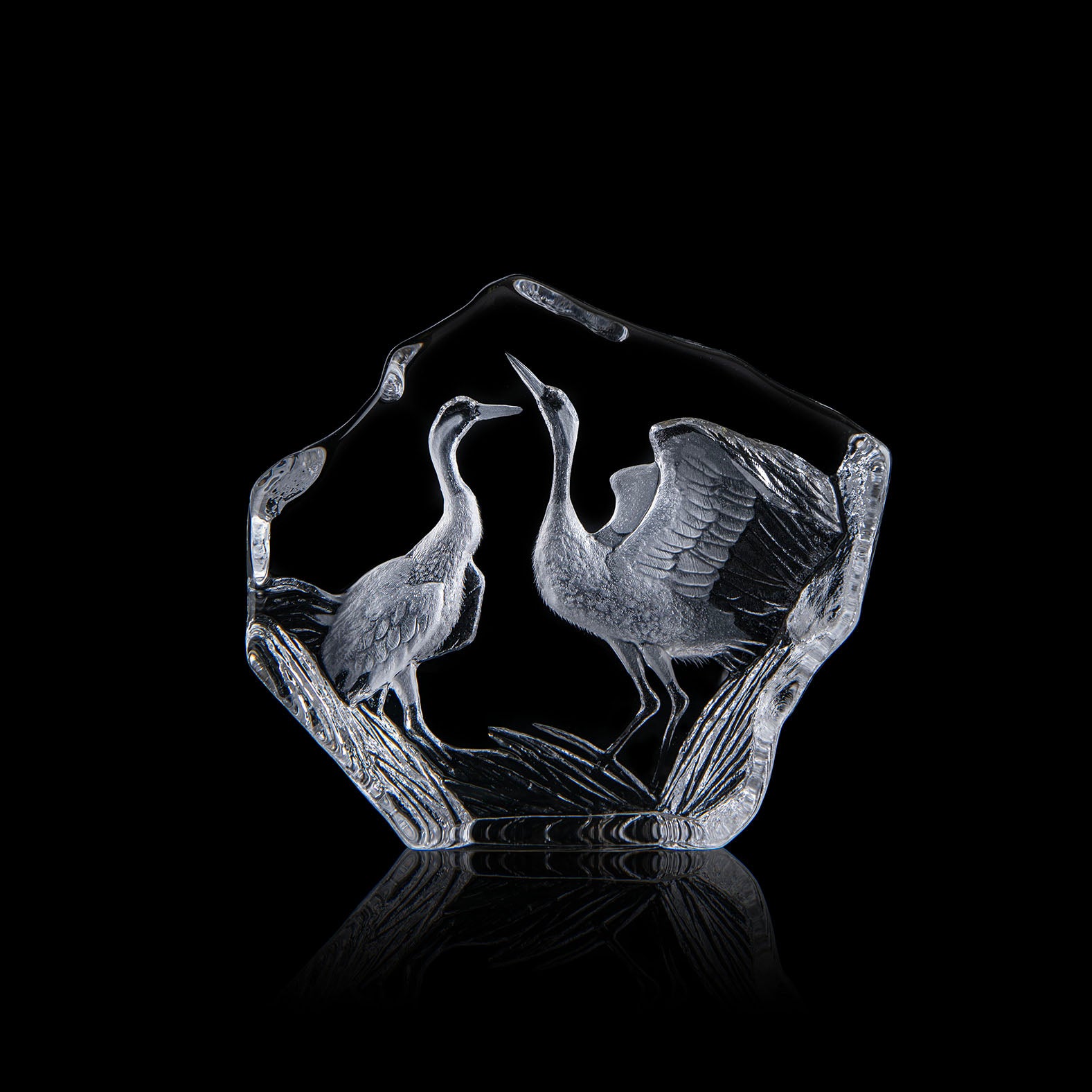 Maleras Cranes-Goviers