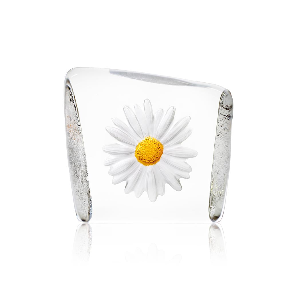 Maleras Daisy-Paperweights-Goviers