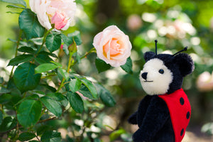 Merrythought Little Ladybird-Goviers