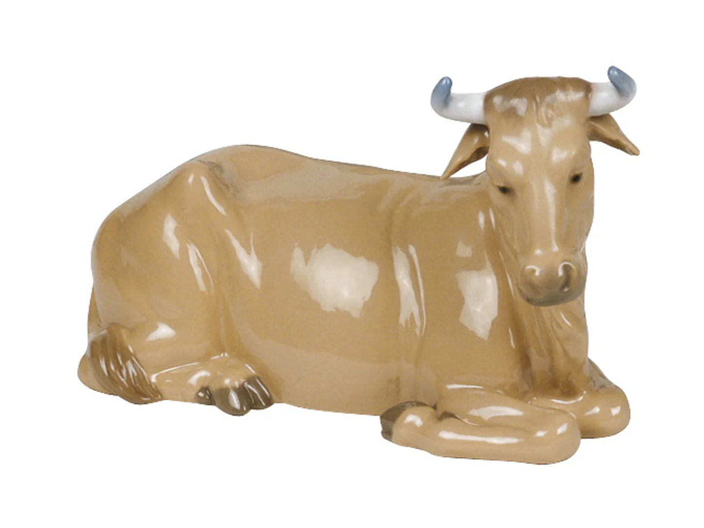 Nao Calf-Goviers