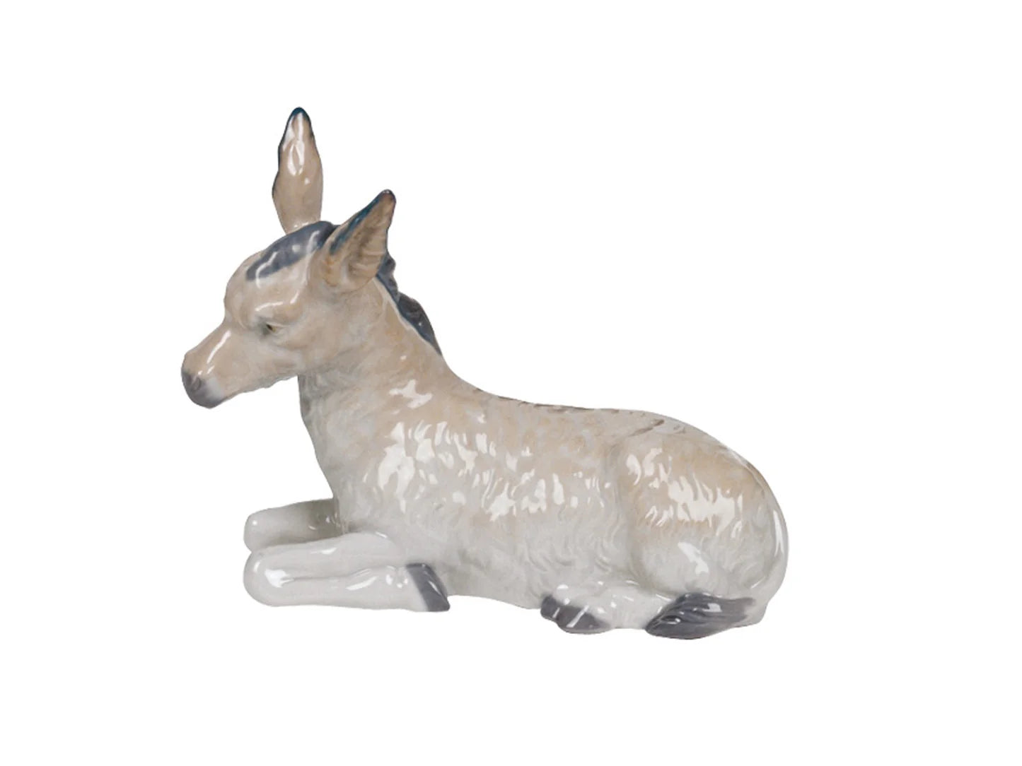 Nao Donkey-Goviers