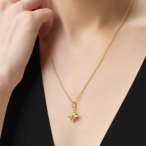 Newbridge Silverware Gold Plated Star Pendant with Clear Stones-Goviers