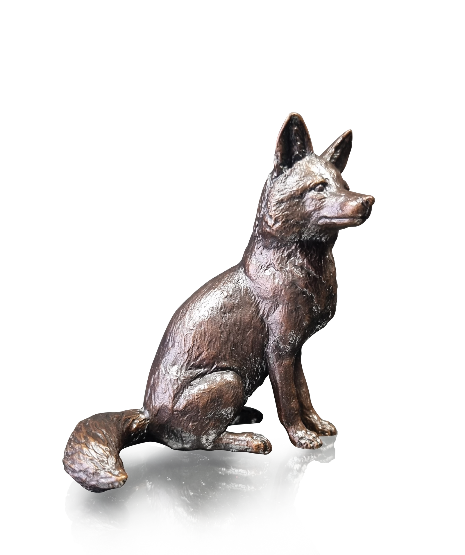 Richard Cooper Fox Sitting NEW-Goviers